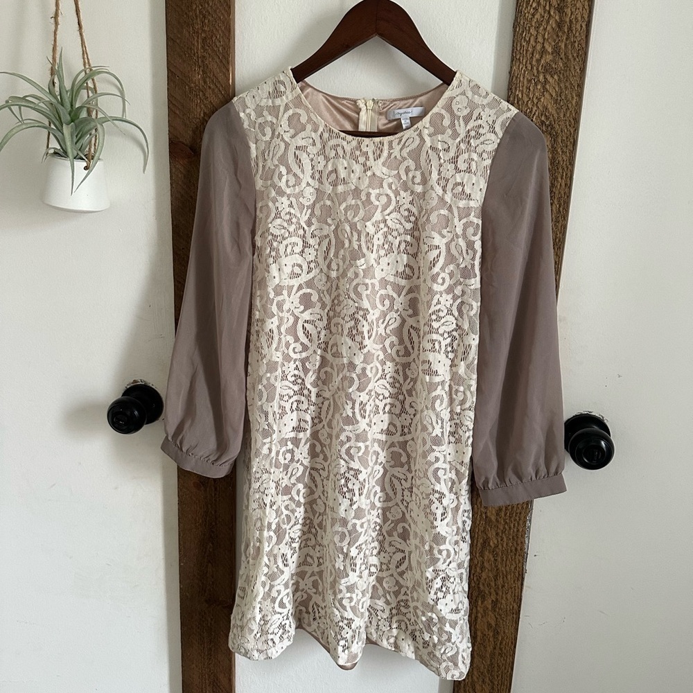 Mystree Cream Lace Mini Dress with Taupe Sleeves